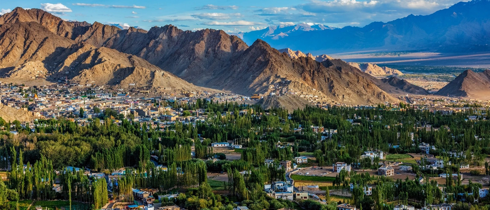 Leh City