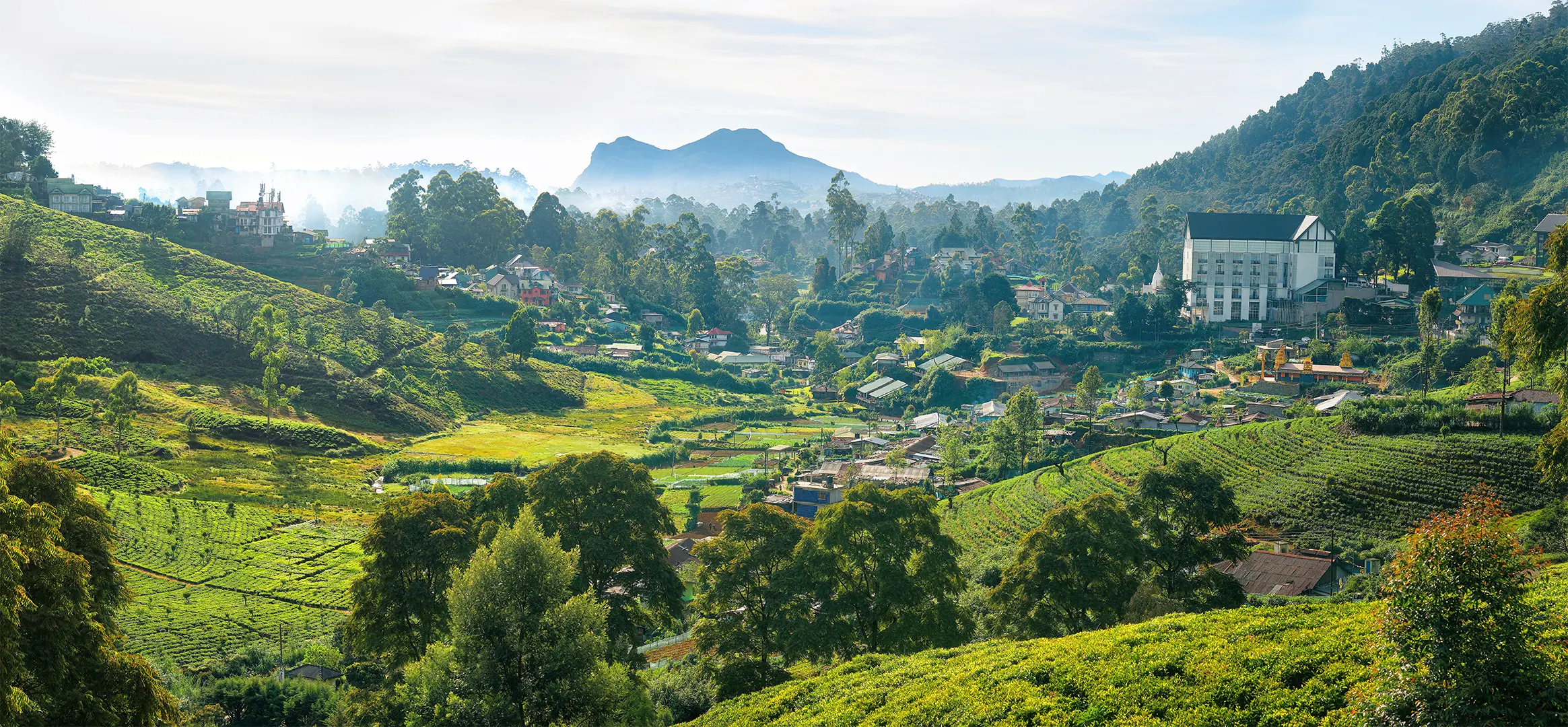 Town of Nuwara Eliya